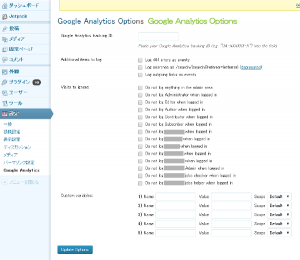 04_Google Analytics Options